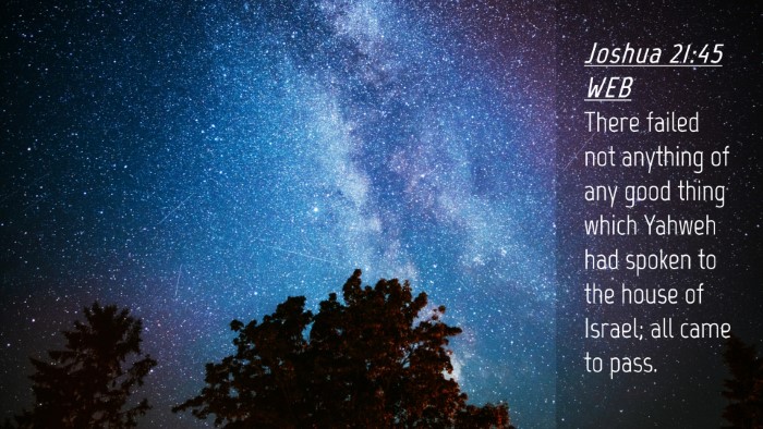 Picture 04 - Joshua 21:45 WEB Desktop Wallpaper - There failed not anything of any good thing which - Desktop Bible Verse Wallpaper