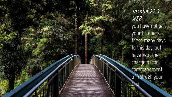 Picture 04 - Joshua 22:3 WEB Desktop Wallpaper - you have not left your brothers these many days - Desktop Bible Verse Wallpaper