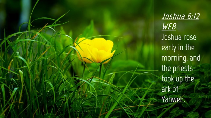 Picture 04 - Joshua 6:12 WEB Desktop Wallpaper - Joshua rose early in the morning, and the priests - Desktop Bible Verse Wallpaper
