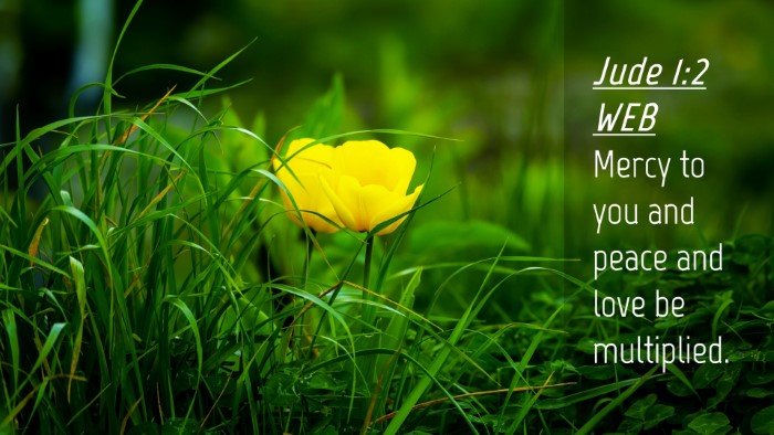 Picture 04 - Jude 1:2 WEB Desktop Wallpaper - Mercy to you and peace and love be - Desktop Bible Verse Wallpaper