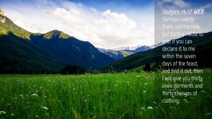 Picture 04 - Judges 14:12 WEB Desktop Wallpaper - Samson said to them, Let me now put forth a - Desktop Bible Verse Wallpaper