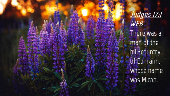 Picture 04 - Judges 17:1 WEB Desktop Wallpaper - There was a man of the hill-country of Ephraim, - Desktop Bible Verse Wallpaper