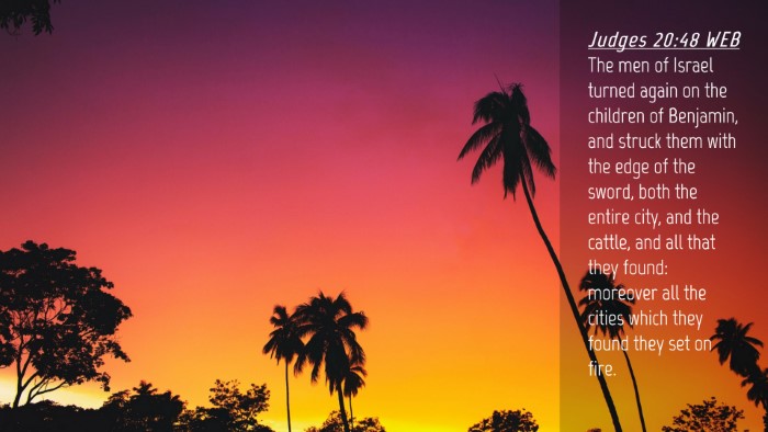 Picture 04 - Judges 20:48 WEB Desktop Wallpaper - The men of Israel turned again on the children of - Desktop Bible Verse Wallpaper