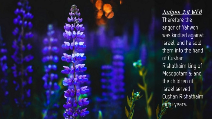 Picture 04 - Judges 3:8 WEB Desktop Wallpaper - Therefore the anger of Yahweh was kindled against - Desktop Bible Verse Wallpaper