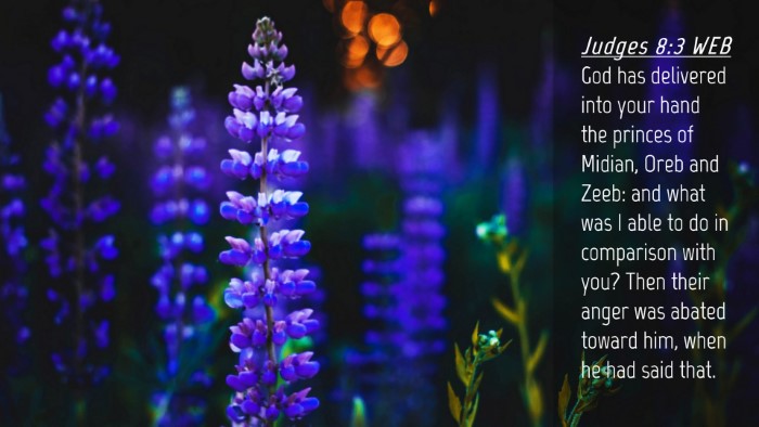 Picture 04 - Judges 8:3 WEB Desktop Wallpaper - God has delivered into your hand the princes of - Desktop Bible Verse Wallpaper