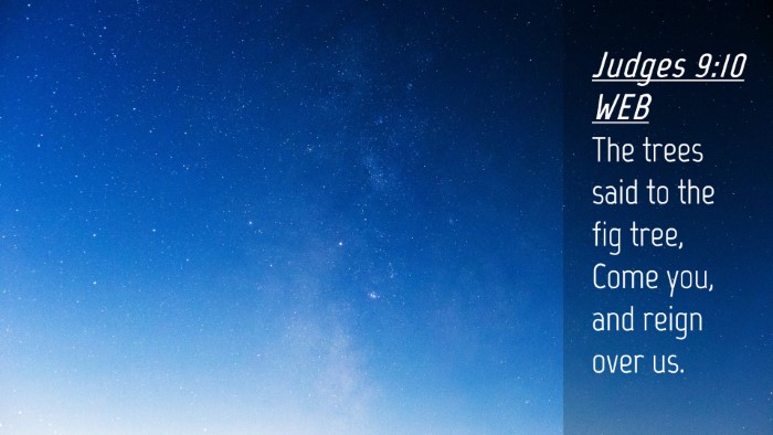 Picture 04 - Judges 9:10 WEB Desktop Wallpaper - The trees said to the fig tree, Come you, and - Desktop Bible Verse Wallpaper