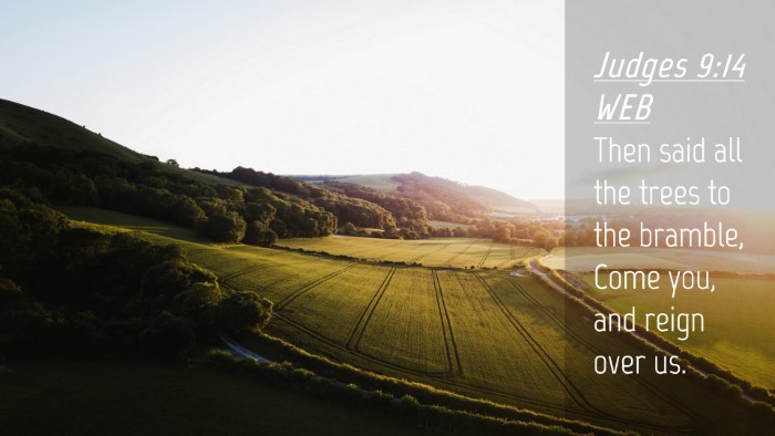 Picture 04 - Judges 9:14 WEB Desktop Wallpaper - Then said all the trees to the bramble, Come you, - Desktop Bible Verse Wallpaper