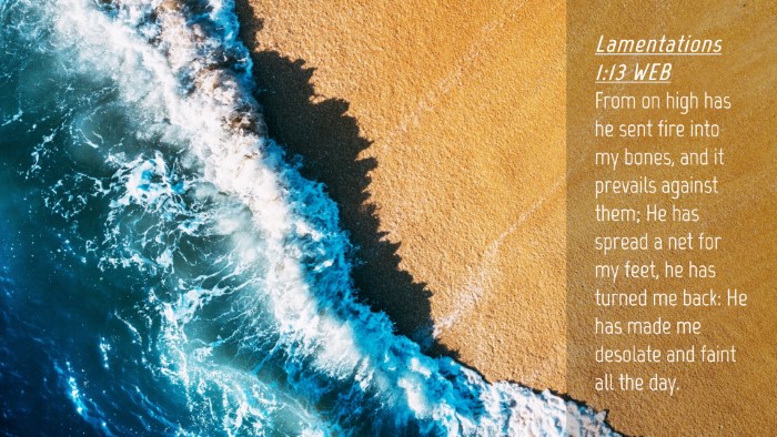 Picture 04 - Lamentations 1:13 WEB Desktop Wallpaper - From on high has he sent fire into my bones, and - Desktop Bible Verse Wallpaper
