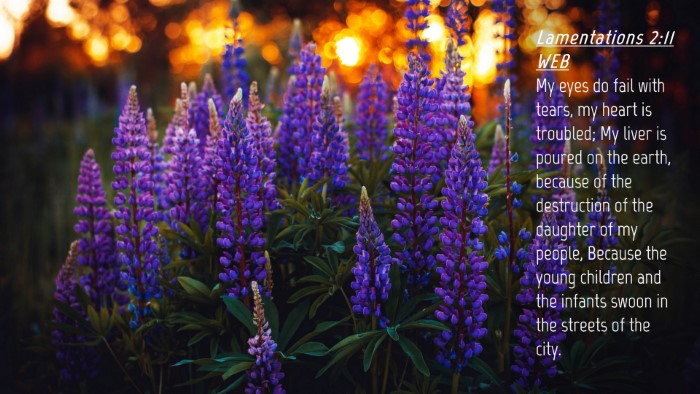 Picture 04 - Lamentations 2:11 WEB Desktop Wallpaper - My eyes do fail with tears, my heart is troubled; - Desktop Bible Verse Wallpaper
