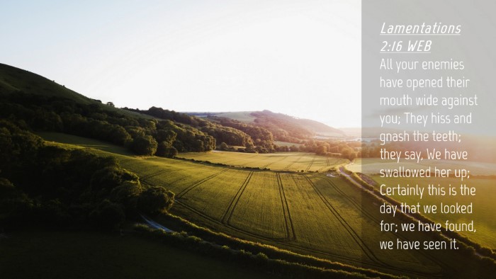 Picture 04 - Lamentations 2:16 WEB Desktop Wallpaper - All your enemies have opened their mouth wide - Desktop Bible Verse Wallpaper
