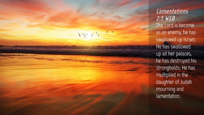 Picture 04 - Lamentations 2:5 WEB Desktop Wallpaper - The Lord is become as an enemy, he has swallowed - Desktop Bible Verse Wallpaper