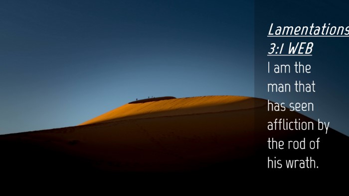 Picture 04 - Lamentations 3:1 WEB Desktop Wallpaper - I am the man that has seen affliction by the rod - Desktop Bible Verse Wallpaper