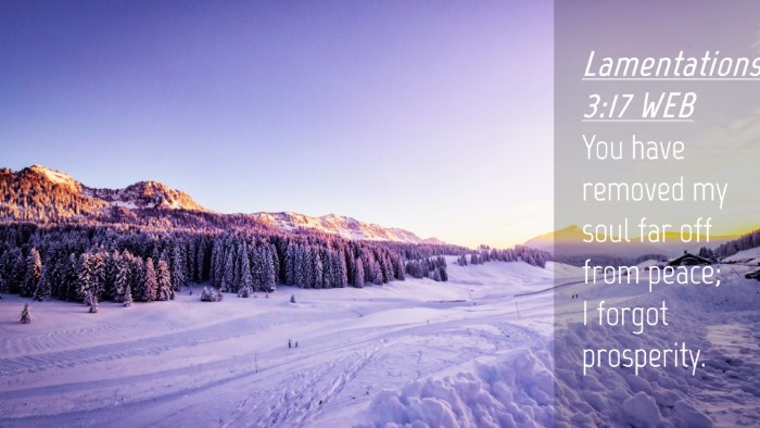 Picture 04 - Lamentations 3:17 WEB Desktop Wallpaper - You have removed my soul far off from peace; I - Desktop Bible Verse Wallpaper
