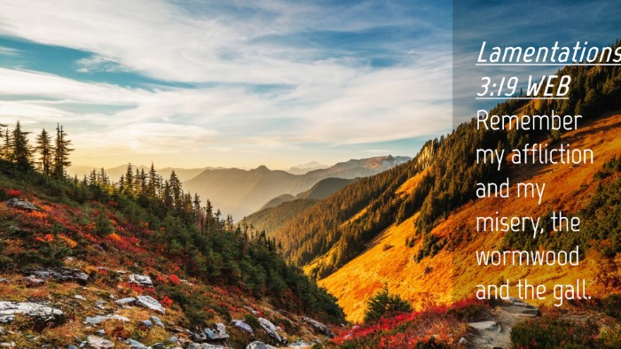 Picture 04 - Lamentations 3:19 WEB Desktop Wallpaper - Remember my affliction and my misery, the - Desktop Bible Verse Wallpaper