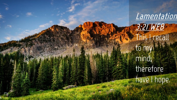 Picture 04 - Lamentations 3:21 WEB Desktop Wallpaper - This I recall to my mind; therefore have I - Desktop Bible Verse Wallpaper