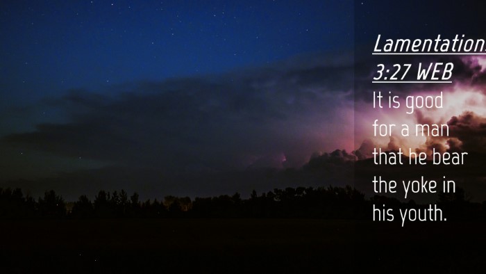 Picture 04 - Lamentations 3:27 WEB Desktop Wallpaper - It is good for a man that he bear the yoke in his - Desktop Bible Verse Wallpaper