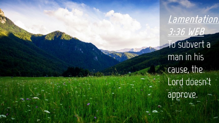 Picture 04 - Lamentations 3:36 WEB Desktop Wallpaper - To subvert a man in his cause, the Lord doesn't - Desktop Bible Verse Wallpaper