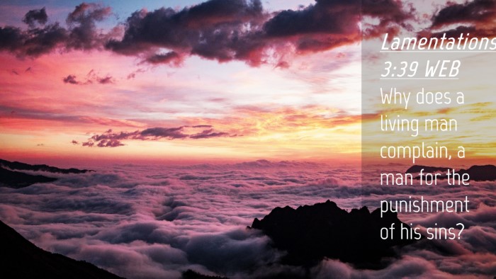 Picture 04 - Lamentations 3:39 WEB Desktop Wallpaper - Why does a living man complain, a man for the - Desktop Bible Verse Wallpaper