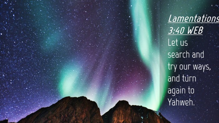 Picture 04 - Lamentations 3:40 WEB Desktop Wallpaper - Let us search and try our ways, and turn again to - Desktop Bible Verse Wallpaper