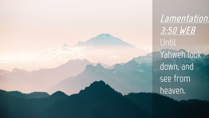 Picture 04 - Lamentations 3:50 WEB Desktop Wallpaper - Until Yahweh look down, and see from - Desktop Bible Verse Wallpaper