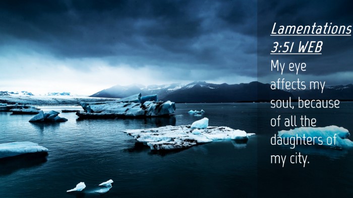 Picture 04 - Lamentations 3:51 WEB Desktop Wallpaper - My eye affects my soul, because of all the - Desktop Bible Verse Wallpaper