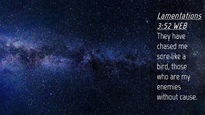 Picture 04 - Lamentations 3:52 WEB Desktop Wallpaper - They have chased me sore like a bird, those who - Desktop Bible Verse Wallpaper