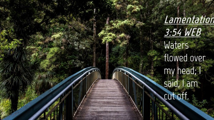 Picture 04 - Lamentations 3:54 WEB Desktop Wallpaper - Waters flowed over my head; I said, I am cut - Desktop Bible Verse Wallpaper