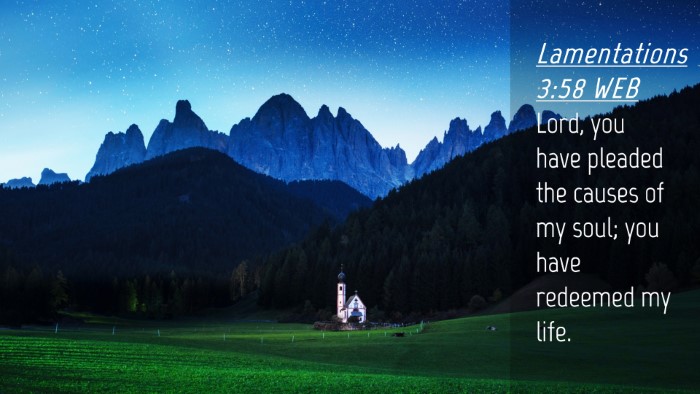 Picture 04 - Lamentations 3:58 WEB Desktop Wallpaper - Lord, you have pleaded the causes of my soul; you - Desktop Bible Verse Wallpaper