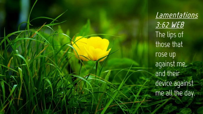 Picture 04 - Lamentations 3:62 WEB Desktop Wallpaper - The lips of those that rose up against me, and - Desktop Bible Verse Wallpaper