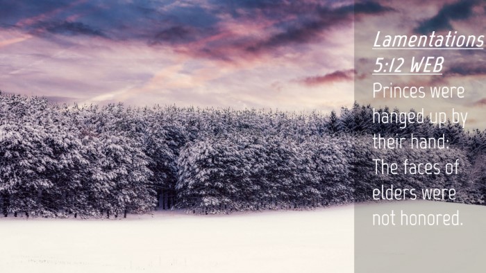 Picture 04 - Lamentations 5:12 WEB Desktop Wallpaper - Princes were hanged up by their hand: The faces - Desktop Bible Verse Wallpaper