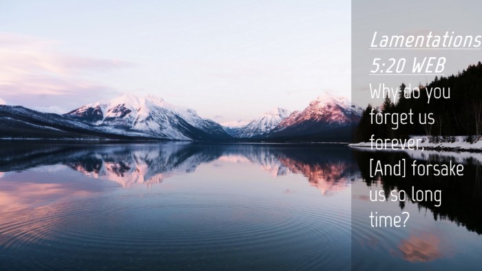 Picture 04 - Lamentations 5:20 WEB Desktop Wallpaper - Why do you forget us forever, [And] forsake us so - Desktop Bible Verse Wallpaper