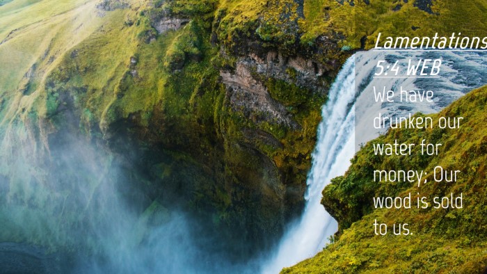 Picture 04 - Lamentations 5:4 WEB Desktop Wallpaper - We have drunken our water for money; Our wood is - Desktop Bible Verse Wallpaper