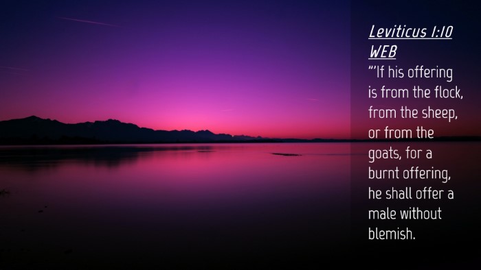 Picture 04 - Leviticus 1:10 WEB Desktop Wallpaper - 