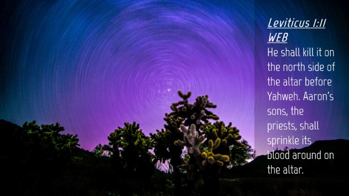 Picture 04 - Leviticus 1:11 WEB Desktop Wallpaper - He shall kill it on the north side of the altar - Desktop Bible Verse Wallpaper