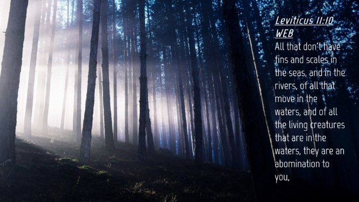 Picture 04 - Leviticus 11:10 WEB Desktop Wallpaper - All that don't have fins and scales in the seas, - Desktop Bible Verse Wallpaper