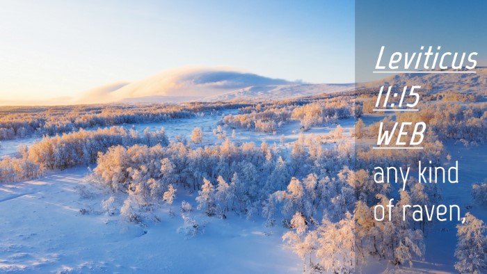Picture 04 - Leviticus 11:15 WEB Desktop Wallpaper - any kind of - Desktop Bible Verse Wallpaper