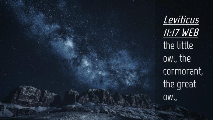 Picture 04 - Leviticus 11:17 WEB Desktop Wallpaper - the little owl, the cormorant, the great - Desktop Bible Verse Wallpaper