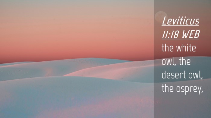 Picture 04 - Leviticus 11:18 WEB Desktop Wallpaper - the white owl, the desert owl, the - Desktop Bible Verse Wallpaper