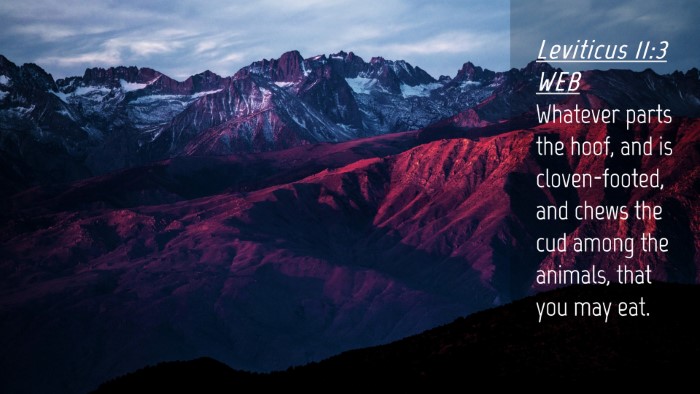 Picture 04 - Leviticus 11:3 WEB Desktop Wallpaper - Whatever parts the hoof, and is cloven-footed, - Desktop Bible Verse Wallpaper