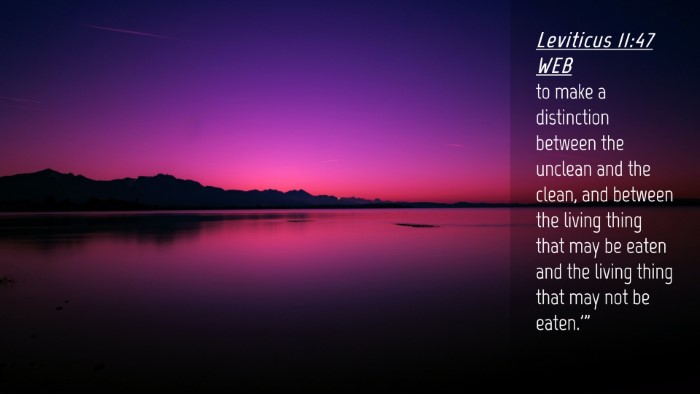 Picture 04 - Leviticus 11:47 WEB Desktop Wallpaper - to make a distinction between the unclean and the - Desktop Bible Verse Wallpaper