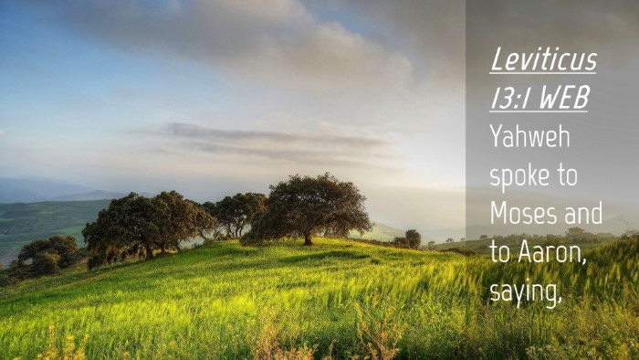 Picture 04 - Leviticus 13:1 WEB Desktop Wallpaper - Yahweh spoke to Moses and to Aaron, - Desktop Bible Verse Wallpaper