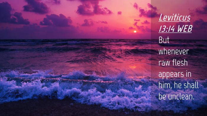 Picture 04 - Leviticus 13:14 WEB Desktop Wallpaper - But whenever raw flesh appears in him, he shall - Desktop Bible Verse Wallpaper