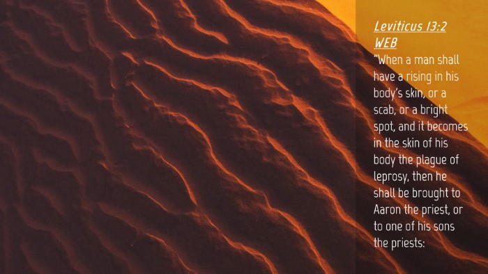 Picture 04 - Leviticus 13:2 WEB Desktop Wallpaper - 