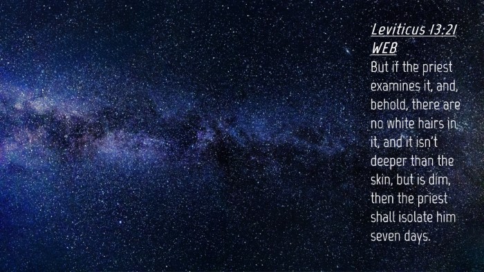 Picture 04 - Leviticus 13:21 WEB Desktop Wallpaper - But if the priest examines it, and, behold, there - Desktop Bible Verse Wallpaper