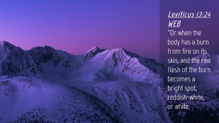 Picture 04 - Leviticus 13:24 WEB Desktop Wallpaper - 