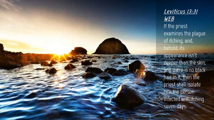 Picture 04 - Leviticus 13:31 WEB Desktop Wallpaper - If the priest examines the plague of itching, - Desktop Bible Verse Wallpaper