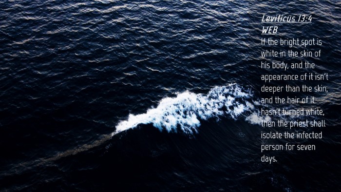 Picture 04 - Leviticus 13:4 WEB Desktop Wallpaper - If the bright spot is white in the skin of his - Desktop Bible Verse Wallpaper