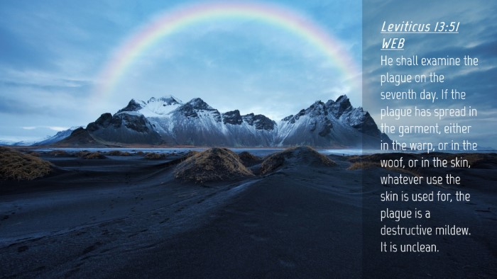 Picture 04 - Leviticus 13:51 WEB Desktop Wallpaper - He shall examine the plague on the seventh day. - Desktop Bible Verse Wallpaper