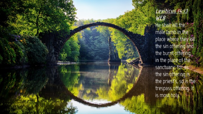 Picture 04 - Leviticus 14:13 WEB Desktop Wallpaper - He shall kill the male lamb in the place where - Desktop Bible Verse Wallpaper