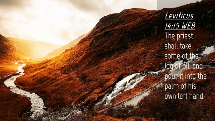 Picture 04 - Leviticus 14:15 WEB Desktop Wallpaper - The priest shall take some of the log of oil, and - Desktop Bible Verse Wallpaper